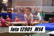 12901_M14-