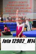 12902_M14-
