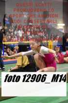 12906_M14-