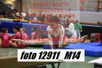 12911_M14-