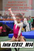 12912_M14-