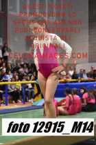 12915_M14-