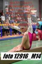 12916_M14-