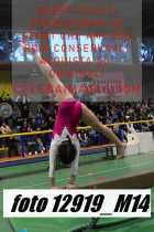12919_M14-