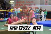 12922_M14-