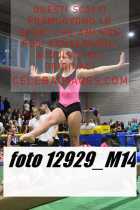 12929_M14-