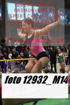 12932_M14-