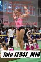 12941_M14-