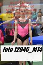 12946_M14-