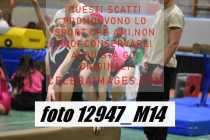 12947_M14-