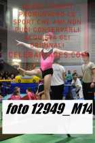 12949_M14-