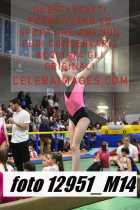 12951_M14-