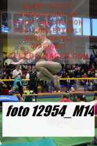 12954_M14-