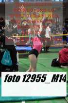 12955_M14-