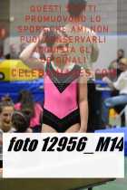 12956_M14-