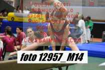 12957_M14-