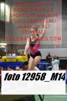 12958_M14-