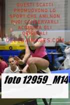 12959_M14-