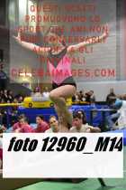 12960_M14-