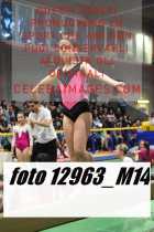 12963_M14-