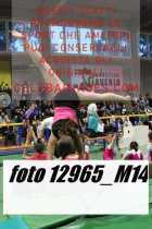 12965_M14-
