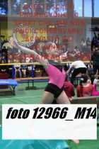 12966_M14-