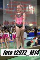 12972_M14-
