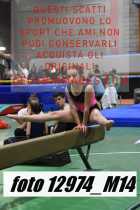 12974_M14-