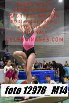 12978_M14-