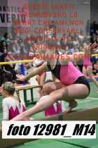 12981_M14-