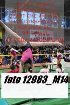 12983_M14-