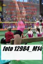12984_M14-
