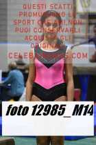 12985_M14-