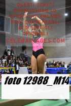 12988_M14-