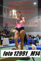 12991_M14-