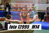 12995_M14-