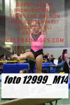 12999_M14-