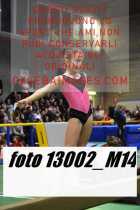 13002_M14-