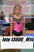 13008_M14-
