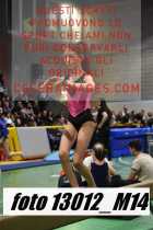 13012_M14-