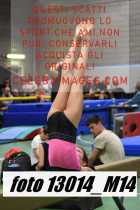 13014_M14-