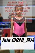 13020_M14-