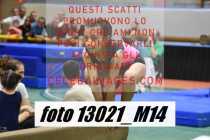 13021_M14-
