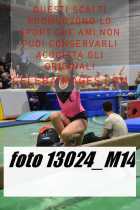 13024_M14-