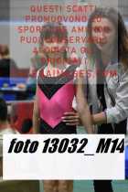 13032_M14-