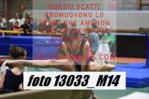 13033_M14-