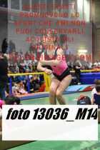 13036_M14-