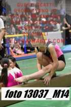 13037_M14-