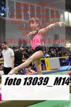 13039_M14-