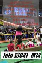 13041_M14-